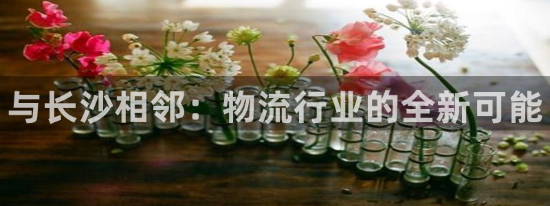 超凡国际充值方式：与长沙相邻：物流行