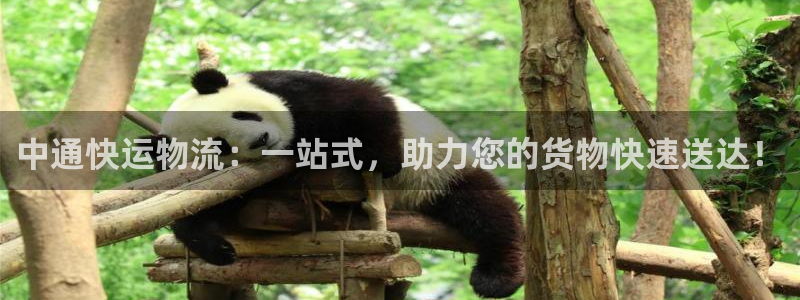 超凡国际忘记账号