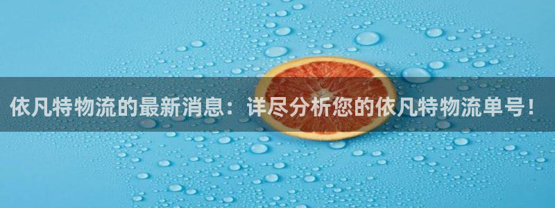 超凡国际网站平台是多少：依凡特物流的最新消息：详尽分析您的依