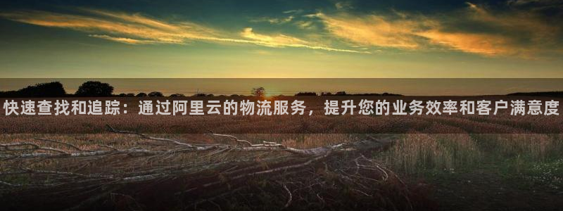 超凡国际麻将胡了：快速查找和追踪：通