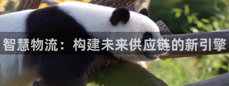 超凡国际加拿大pc预测：智慧物流：构
