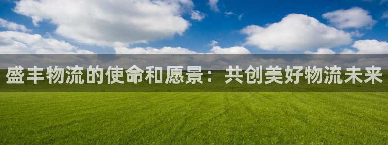 超凡国际不给提现：盛丰物流的使命和愿