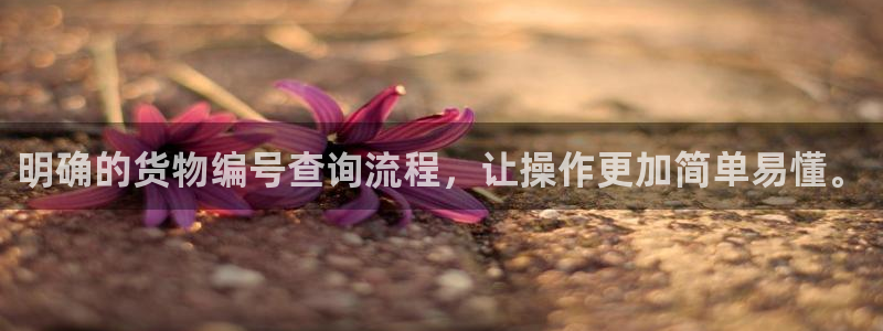超凡国际注册平台：明确的货物编号查询