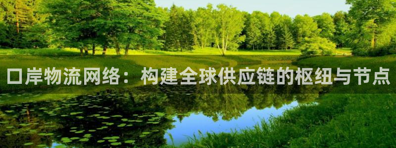 超凡国际APP是干什么的：口岸物流网