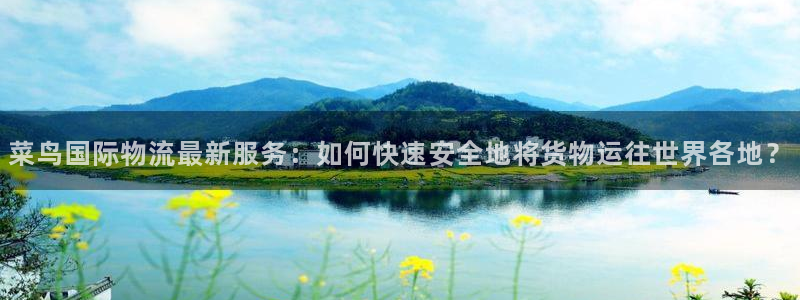 超凡国际客服电话：菜鸟国际物流最新服务：如何快速安全地将货物