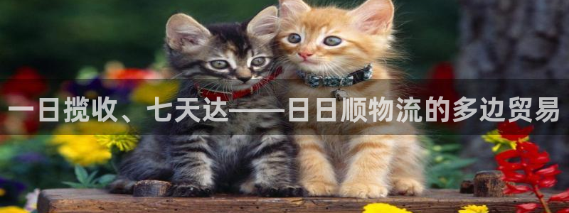 超凡国际登录用户名登录不上：一日揽收