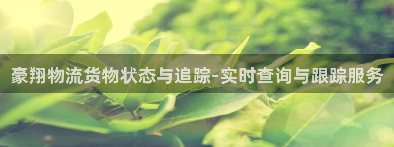 超凡国际那个才是充值账号：豪翔物流货