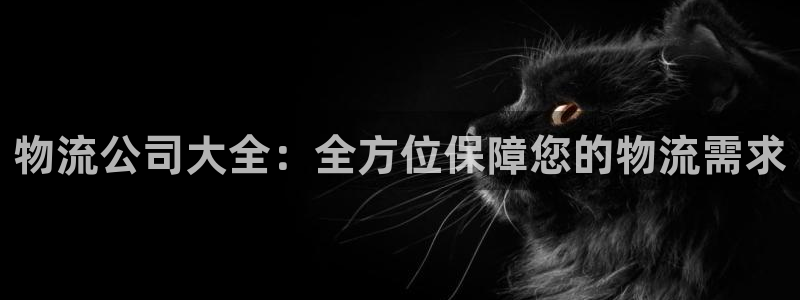 超凡国际官网入口app：物流公司大全