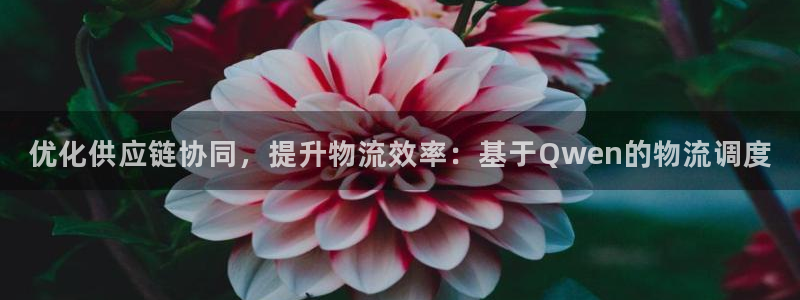 超凡国际官网注册：优化供应链协同，提