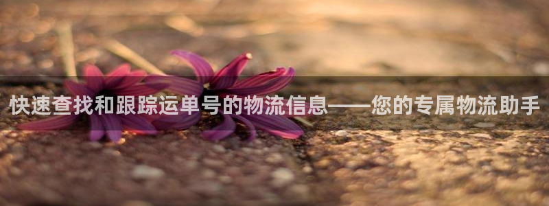 超凡国际官网下载APP：快速查找和跟