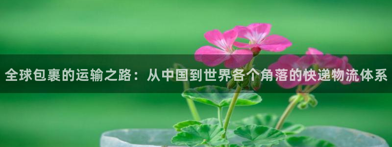 超凡国际h5链接：全球包裹的运输之路