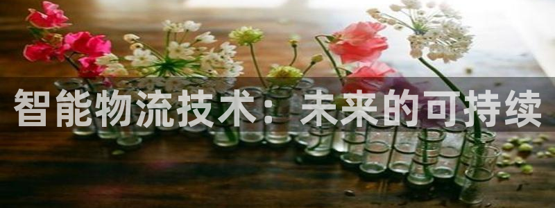超凡国际分分28输了能不能退：智能物