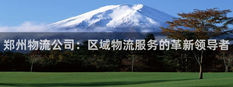 超凡国际网站怎么注册：郑州物流公司：