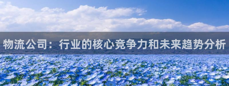 超凡国际人工客服电话是什么：物流公司：行业的核心竞争力和未来