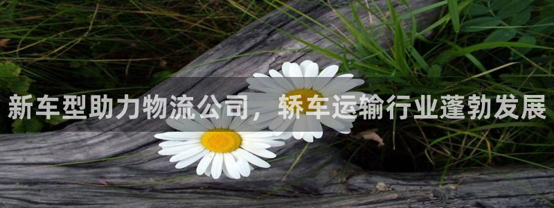超凡国际v6能卖多少：新车型助力物流