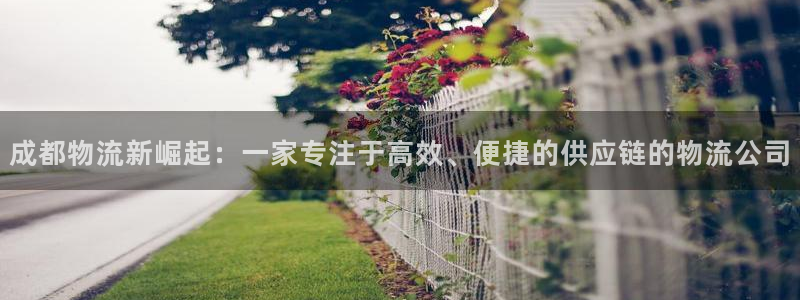 超凡国际昵称：成都物流新崛起：一家专