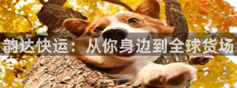 超凡国际注册步骤：韵达快运：从你身边