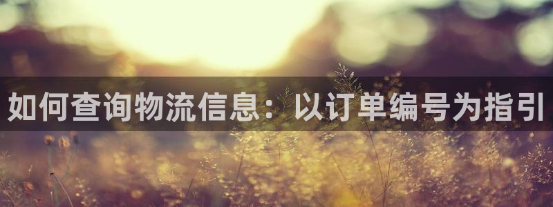 超凡国际登录用户名登录不上：如何查询