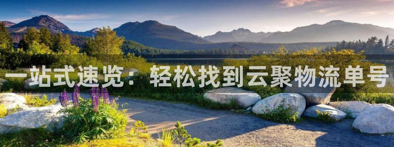 超凡国际软件总是闪退怎么回事：一站式