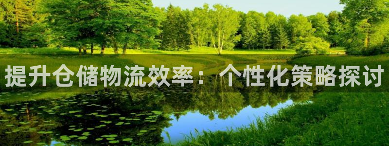 超凡国际加拿大技巧:提升仓储物流效率