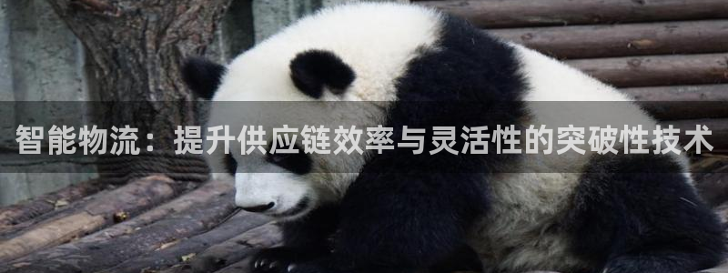 超凡国际和南宫28什么关系:智能物流