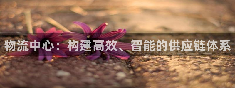 超凡国际模拟器下载:物流中心:构建高