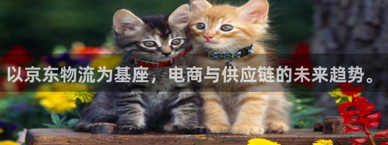 超凡国际网站平台是多少：以京东物流为