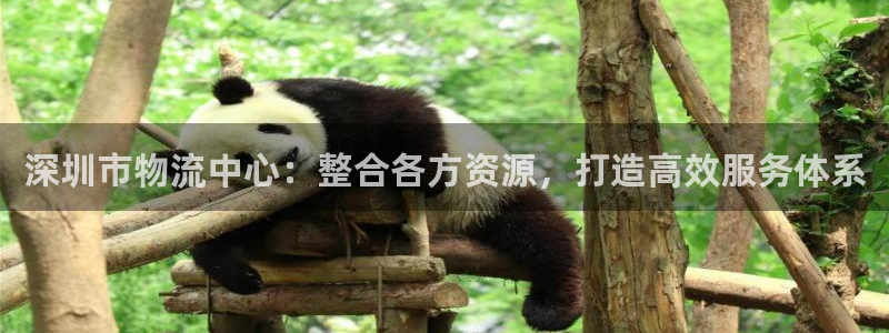 超凡国际黑平台吗：深圳市物流中心：整合各方资源，打造高效服务