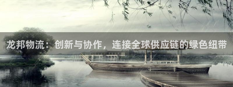 超凡国际p扣除是什么意思：龙邦物流：创新与协作，连接全球供应