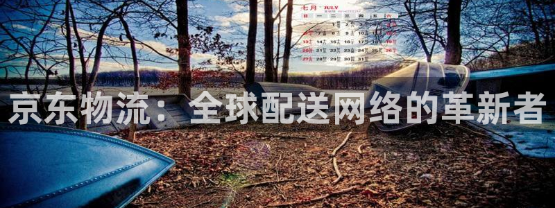 超凡国际能赢钱吗：京东物流：全球配送