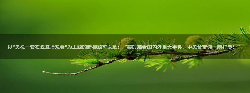 山猫体育直播在线观看：以\