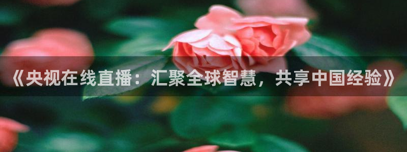 山猫在线体育直播：《央视在线直播：汇聚全球智慧，共享中国经验》