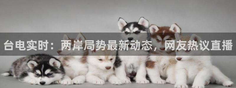 山猫体育免费观看：台电实时：两岸局势最新动态，网友热议直播