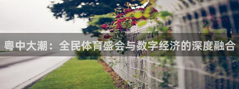 足球山猫直播：粤中大潮：全民体育盛会与数字经济的深度融合
