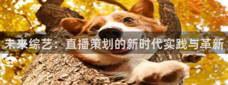 山猫足球直播高清直播在线观看：未来综艺：直播策划的新时代实践与革新