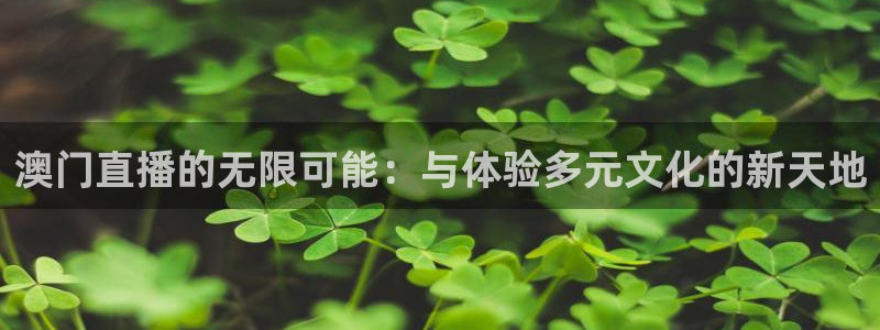 山猫免费直播体育足球：澳门直播的无限可能：与体验多元文化的新天地