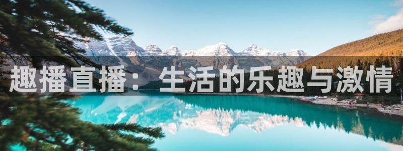 足球山猫直播：趣播直播：生活的乐趣与激情