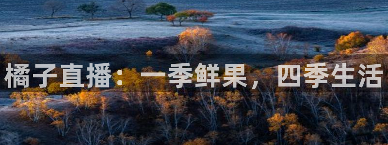 山猫直播篮球：橘子直播：一季鲜果，四季生活