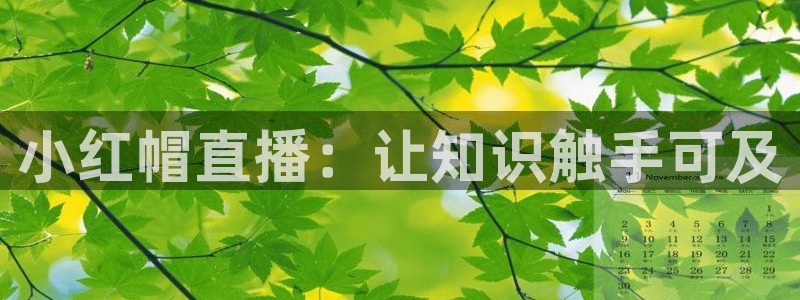 山猫免费直播体育足球：小红帽直播：让知识触手可及