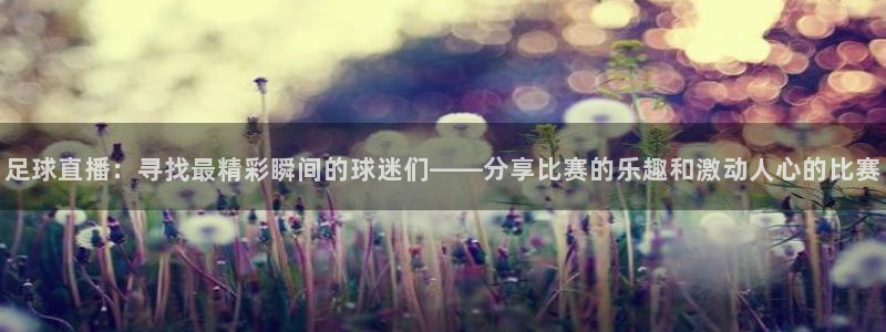 山猫体育直播app：足球直播：寻找最精彩瞬间的球迷们——分享比赛的乐趣和激动人心的比赛