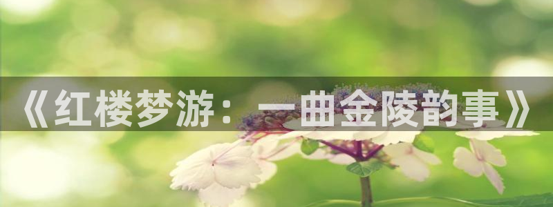 山猫足球直播在线直播观看：《红楼梦游：一曲金陵韵事》