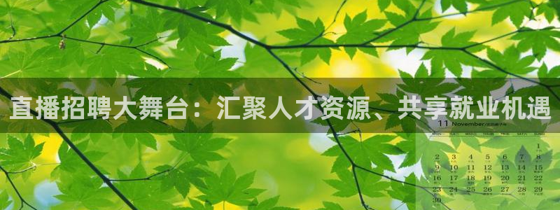 山猫免费直播体育足球：直播招聘大舞台：汇聚人才资源、共享就业机遇