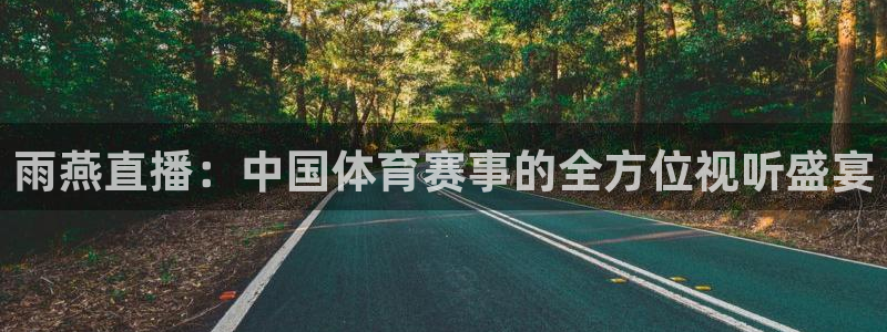 山猫体育app官方版下载：雨燕直播：中国体育赛事的全方位视听盛宴