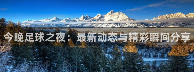 山猫篮球直播平台：今晚足球之夜：最新动态与精彩瞬间分享